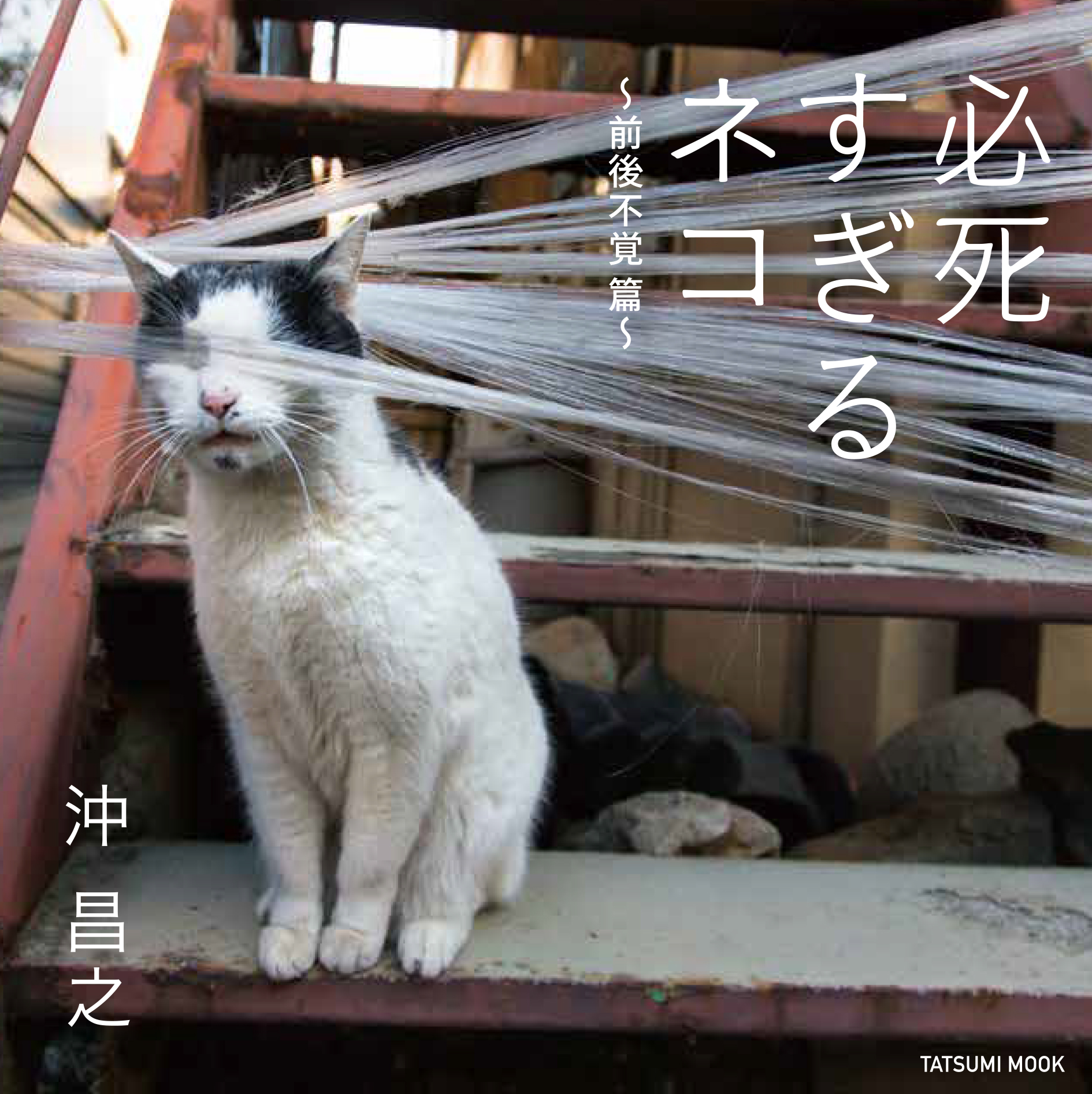 必死なネコは本当に可愛い 5万部突破のベストセラー写真集が雑貨に 必死すぎるネコ 雑貨商品の販売開始のお知らせ 3月13日よりオンラインストアなどで販売開始 神秘の嫁 さーヤンのbuzz Movie バズ動画