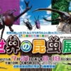 Thumbnail of new posts 047