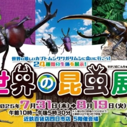 Thumbnail of post image 084