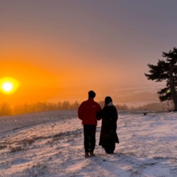 Thumbnail of post image 057