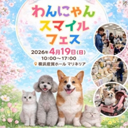 Thumbnail of post image 156