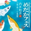 Thumbnail of new posts 011