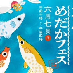 Thumbnail of post image 172