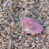Thumbnail of new posts 110