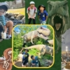 Thumbnail of new posts 049
