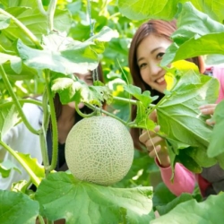 Thumbnail of post image 141