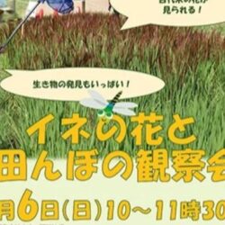 Thumbnail of new posts 015